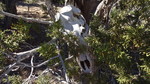 photo thumbnail #3