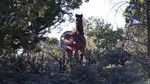 photo thumbnail #14