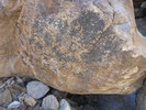 photo thumbnail #12