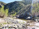 photo thumbnail #13