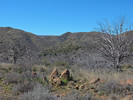 photo thumbnail #3