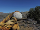 photo thumbnail #8