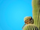 photo thumbnail #14