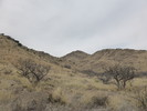 photo thumbnail #4