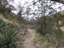 photo thumbnail #6