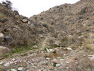 photo thumbnail #10