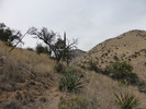 photo thumbnail #13