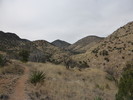 photo thumbnail #15