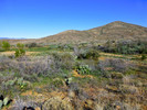 photo thumbnail #9