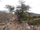 photo thumbnail #4