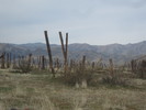 photo thumbnail #7
