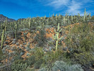 photo thumbnail #11