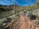 photo thumbnail #15