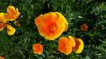 Featured Detail Photo