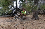 photo thumbnail #6
