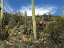 photo thumbnail #14