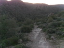 photo thumbnail #1