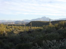 photo thumbnail #2