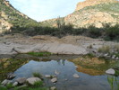 photo thumbnail #8