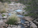 photo thumbnail #9