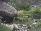 photo thumbnail #10