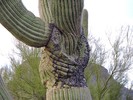 photo thumbnail #2
