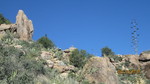 photo thumbnail #10