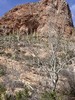 photo thumbnail #4