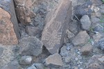 photo thumbnail #13