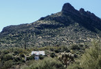 photo thumbnail #8
