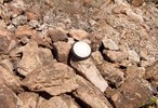 photo thumbnail #2