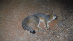 photo thumbnail #13