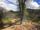 photo thumbnail #10
