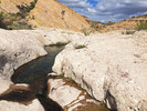 photo thumbnail #14