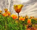 photo thumbnail #6