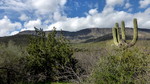 photo thumbnail #1