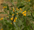 photo thumbnail #11