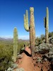 photo thumbnail #2