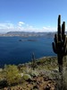 photo thumbnail #4