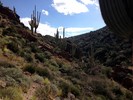 photo thumbnail #10