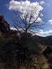 photo thumbnail #12