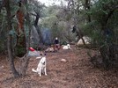 photo thumbnail #4