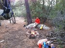 photo thumbnail #5