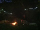 photo thumbnail #6