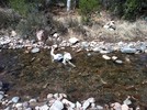 photo thumbnail #13