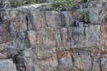 photo thumbnail #14