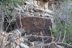 photo thumbnail #15
