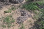 photo thumbnail #8