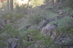 photo thumbnail #11