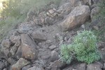 photo thumbnail #12